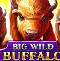 Big Wild Buffalo
